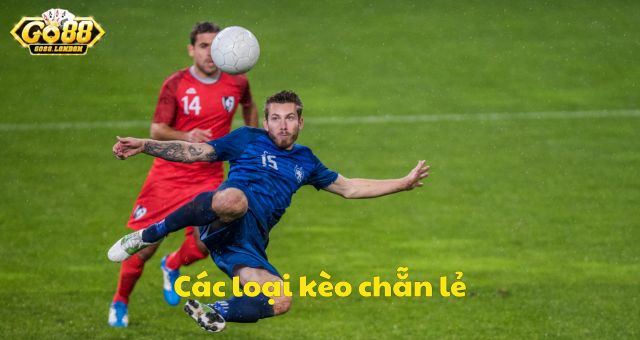 Các loại kèo chẵn lẻ phổ biến tại Go88