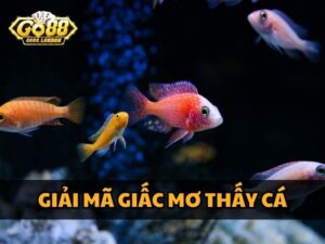 Giải mã giấc mơ thấy cá điềm xấu hay tốt? Số lô đề may mắn