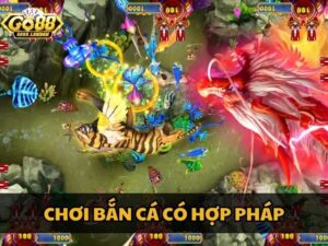 Chơi game bắn cá có phạm pháp - Giải đáp từ chuyên gia